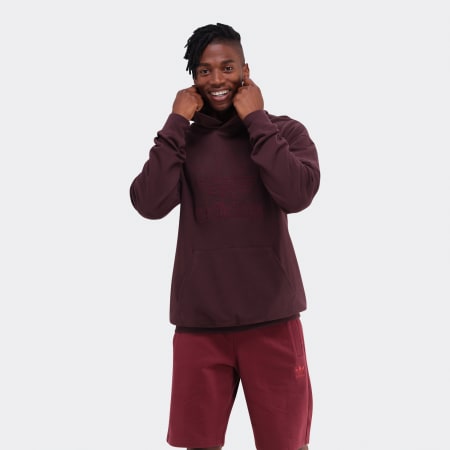 Adicolor Outline Trefoil Hoodie