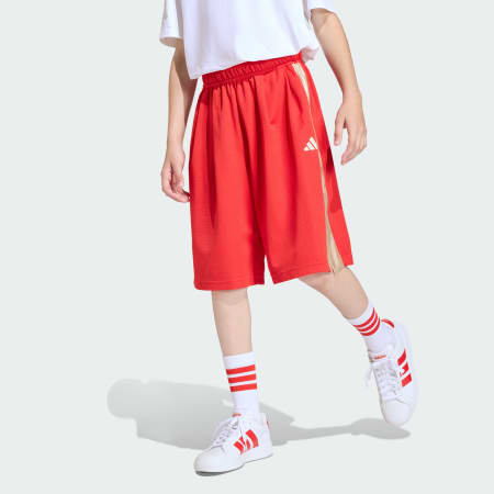 Stadium Mesh Short