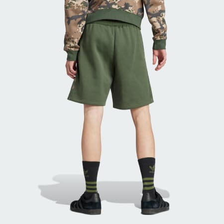 Graphics Camo Stripe Shorts