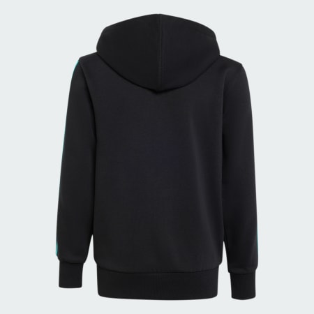 MERCEDES - AMG PETRONAS FORMULA 1 TEAM DNA FULL ZIP HOODY