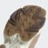 TENIS FALCON W Ash Pearl / Ash Pearl / Off White DB2714 TENIS FALCON W Ash Pearl / Ash Pearl / Off White DB2714