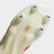 Copa 19+ Soft Ground Boots Beige / Solar Red / Off White F36073 Copa 19+ Soft Ground Boots Beige / Solar Red / Off White F36073
