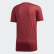 T-shirt Terrex Tivid Active Maroon / Collegiate Burgundy DZ5947 T-shirt Terrex Tivid Active Maroon / Collegiate Burgundy DZ5947