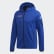 Bunda Terrex DSV Polartec Power Air Fleece Collegiate Royal FL2010 Bunda Terrex DSV Polartec Power Air Fleece Collegiate Royal FL2010