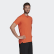 TERREX Agravic Trail Running T-Shirt True Orange FI8785 TERREX Agravic Trail Running T-Shirt True Orange FI8785