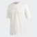 Camiseta Pastel Off White GL6149 Camiseta Pastel Off White GL6149