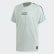 Camiseta Especial da Temporada FC Bayern Ash Green DP4107 Camiseta Especial da Temporada FC Bayern Ash Green DP4107