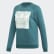 Trefoil Sweatshirt Noble Green ED7551 Trefoil Sweatshirt Noble Green ED7551