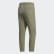 TERREX Capsule Wanderhose Legacy Green FN0858 TERREX Capsule Wanderhose Legacy Green FN0858