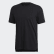 Terrex Agravic Trail Running Tee Black FJ9341 Terrex Agravic Trail Running Tee Black FJ9341