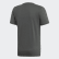 CAMISETA THE PACK Q2 GFX Legend Ivy DV3059 CAMISETA THE PACK Q2 GFX Legend Ivy DV3059