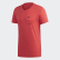 Camiseta Terrex Graphic Glory Red FJ5034 Camiseta Terrex Graphic Glory Red FJ5034