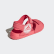 AltaSwim Core Pink / Footwear White / Cloud White BA7849 AltaSwim Core Pink / Footwear White / Cloud White BA7849