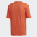 T-shirt R.Y.V. Graphic Glory Amber FM2289 T-shirt R.Y.V. Graphic Glory Amber FM2289