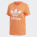 T-shirt Trefoil Semi Coral / White FM3295 T-shirt Trefoil Semi Coral / White FM3295