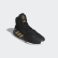 Pro Bounce 2019 Shoes Core Black / Gold Met. / Cloud White EF0868 Pro Bounce 2019 Shoes Core Black / Gold Met. / Cloud White EF0868