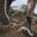 Sapatos de Trail Running TERREX Two Ultra Parley Core Black / Grey Three / Blue Spirit EF2133 Sapatos de Trail Running TERREX Two Ultra Parley Core Black / Grey Three / Blue Spirit EF2133
