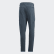Pantalon Terrex Zupahike Legacy Blue FJ9362 Pantalon Terrex Zupahike Legacy Blue FJ9362