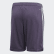 Short Away FC Bayern Trace Purple / Ash Green CF5413 Short Away FC Bayern Trace Purple / Ash Green CF5413