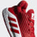 Pro Bounce 2019 Low Schoenen Scarlet / Cloud White / Cloud White EF9841 Pro Bounce 2019 Low Schoenen Scarlet / Cloud White / Cloud White EF9841