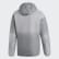 Giacca con cappuccio Terrex Windweave Insulated Grey Four / White DZ2050 Giacca con cappuccio Terrex Windweave Insulated Grey Four / White DZ2050