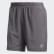 Shorts Run-It Grey EC3689 Shorts Run-It Grey EC3689