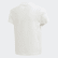 Conjunto Trifolio Shorts Tee White / Bluebird EJ9377 Conjunto Trifolio Shorts Tee White / Bluebird EJ9377
