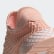 Deerupt Runner Shoes Glow Pink / Cloud White / Cloud White EE6606 Deerupt Runner Shoes Glow Pink / Cloud White / Cloud White EE6606
