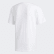 Camiseta Manoles Alias White / Black / Scarlet / Green EC7354 Camiseta Manoles Alias White / Black / Scarlet / Green EC7354