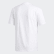 Camiseta Campeonato White / Grey One / Collegiate Purple / Active Teal EC7351 Camiseta Campeonato White / Grey One / Collegiate Purple / Active Teal EC7351