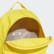 Mochila adicolor Classic Yellow ED8672 Mochila adicolor Classic Yellow ED8672