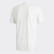 Tričko FreeLift Tech Aeroknit Graphic Raw White / White DU1365 Tričko FreeLift Tech Aeroknit Graphic Raw White / White DU1365