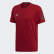 Tričko TAN Active Maroon DZ9592 Tričko TAN Active Maroon DZ9592