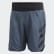 Terrex Agravic Two-in-One Shorts Legacy Blue FI8777 Terrex Agravic Two-in-One Shorts Legacy Blue FI8777