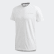 Camiseta técnica Terrex Primeblue Logo White FI2423 Camiseta técnica Terrex Primeblue Logo White FI2423