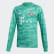 Dres FC Bayern Home Goalkeeper Core Green DX9259 Dres FC Bayern Home Goalkeeper Core Green DX9259