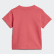 Camiseta Trifolio Real Pink / White ED7682 Camiseta Trifolio Real Pink / White ED7682