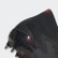 Botas de Futebol Predator Mutator 20.1 – Piso mole Core Black / Cloud White / Active Red EF1647 Botas de Futebol Predator Mutator 20.1 – Piso mole Core Black / Cloud White / Active Red EF1647