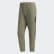 TERREX Capsule Wanderhose Legacy Green FN0858 TERREX Capsule Wanderhose Legacy Green FN0858