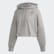 Large Logo Cropped Hoodie Medium Grey Heather / True Pink FS7235 Large Logo Cropped Hoodie Medium Grey Heather / True Pink FS7235
