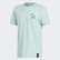 CAMISETA AFA SSPGRA Frost Mint DP2910 CAMISETA AFA SSPGRA Frost Mint DP2910