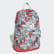 Classic Backpack Dash Green / Core Pink / White FN0990 Classic Backpack Dash Green / Core Pink / White FN0990