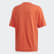 R.Y.V. Graphic Tee Glory Red FM2221 R.Y.V. Graphic Tee Glory Red FM2221
