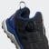 Chaussure Terrex_WM Agravic Boa Core Black / Core Black / Collegiate Royal EE3913 Chaussure Terrex_WM Agravic Boa Core Black / Core Black / Collegiate Royal EE3913
