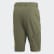 Terrex Hike Shorts Legacy Green FI2421 Terrex Hike Shorts Legacy Green FI2421