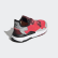 Obuv Nite Jogger Shock Red / Shock Red / Grey Two EE6447 Obuv Nite Jogger Shock Red / Shock Red / Grey Two EE6447