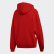 Large Logo Hoodie Lush Red / White FS1307 Large Logo Hoodie Lush Red / White FS1307