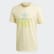 SHATTERED LOGO Easy Yellow FM3382 SHATTERED LOGO Easy Yellow FM3382