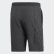 New York Shorts Carbon DZ6220 New York Shorts Carbon DZ6220