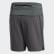 Short Terrex Trail Grey Five CZ0148 Short Terrex Trail Grey Five CZ0148